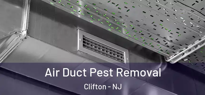Air Duct Pest Removal Clifton - NJ