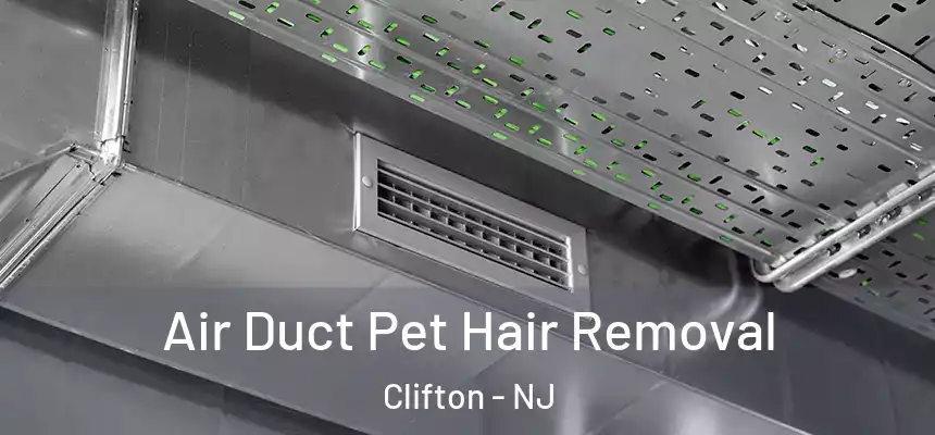 Air Duct Pet Hair Removal Clifton - NJ