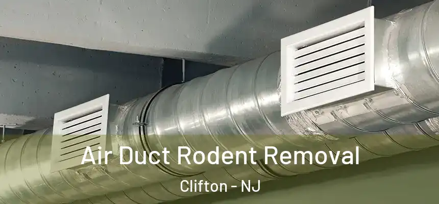 Air Duct Rodent Removal Clifton - NJ