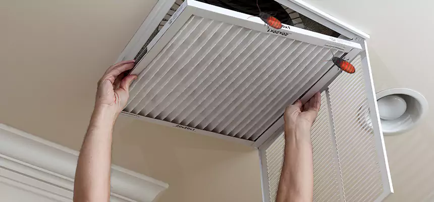 Preventive Cockroach-Proofing for Ducts in Clifton