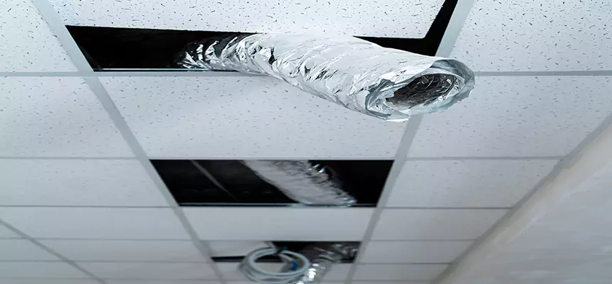 Our Air Duct Pet Hair Removal Services in Clifton, NJ