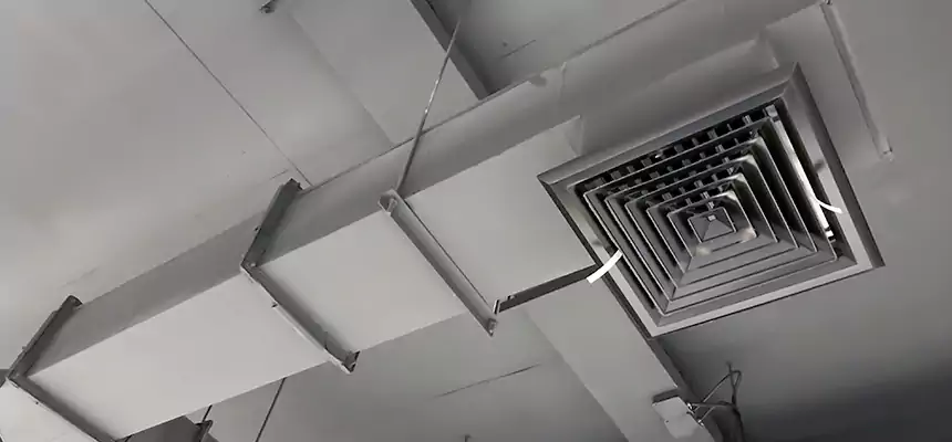 Our Rodent Droppings In Vents Services in Clifton, NJ