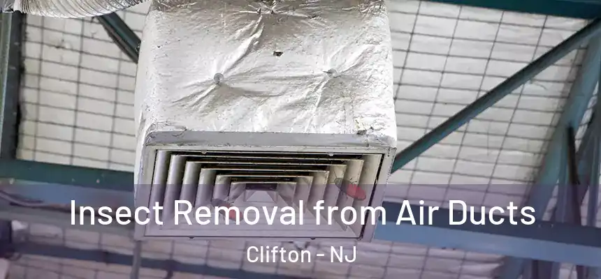 Insect Removal from Air Ducts Clifton - NJ
