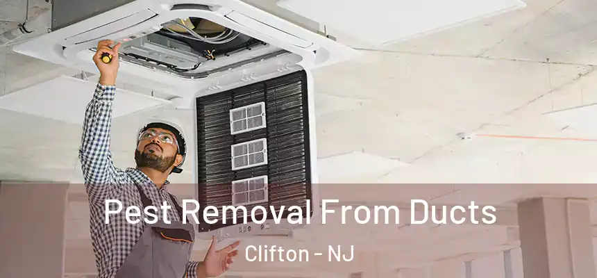  Pest Removal From Ducts Clifton - NJ