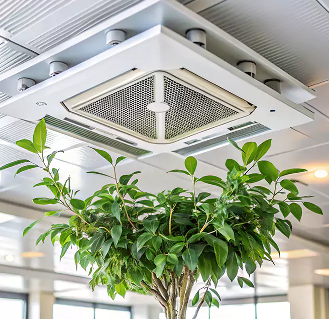 Why Homeowners & Businesses Trust Us in Clifton, NJ?